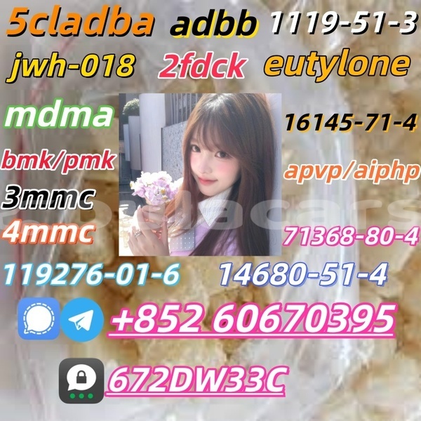 Big with watermark images 1 