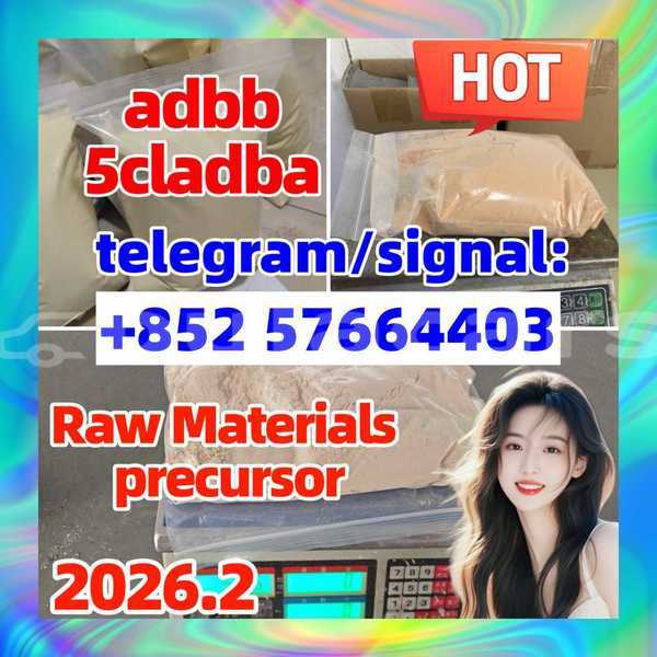 Big with watermark 555