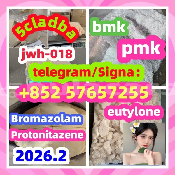 Big with watermark 17