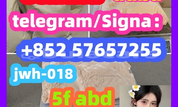 Medium with watermark 61