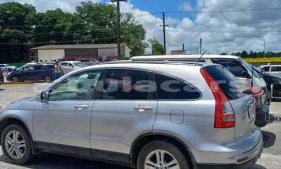 Buy Used Honda CRV Other Car in Suva in Central Buy Used Honda CRV Other Car in Suva in Central
