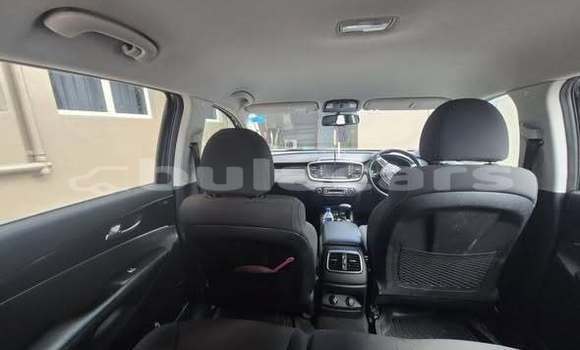 Buy Used Kia Sorento Other Car in Suva in Central Buy Used Kia Sorento Other Car in Suva in Central