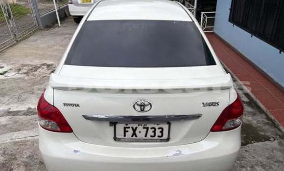 Buy Used Toyota Yaris Other Car in Suva in Central