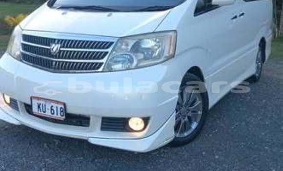 Buy Used Toyota 4Runner Other Car in Suva in Central