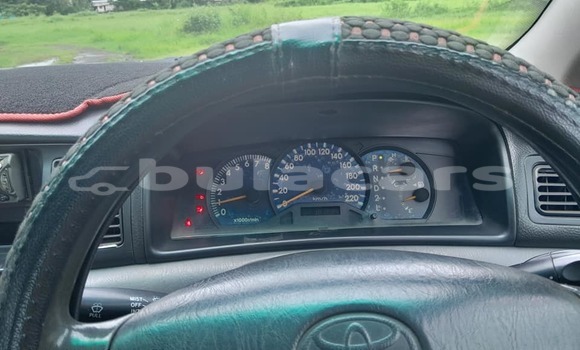 Buy Used Toyota Corolla Red Car in Korovou in Central Buy Used Toyota Corolla Red Car in Korovou in Central