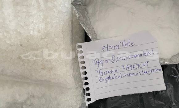 Medium with watermark photo 2025 10 08 00 29 19