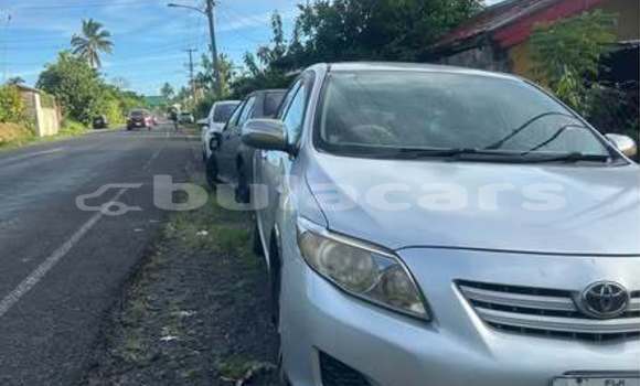 Buy Used Toyota Corolla Other Car in Suva in Central