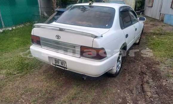 Buy Used Toyota 4Runner Other Car in Suva in Central