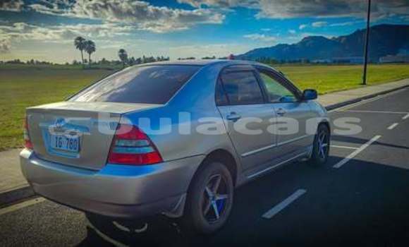 Buy Used Toyota Corolla Other Car in Suva in Central