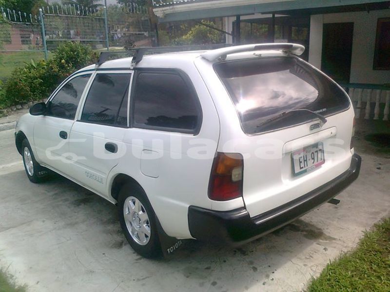 Big with watermark post id 4196 lz443