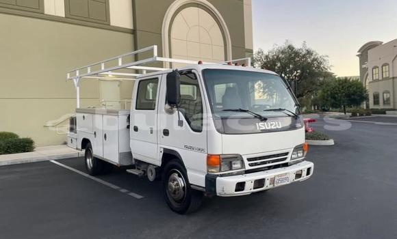 Buy Used Isuzu FTR 850 White Truck in Suva in Central