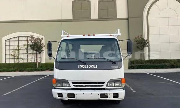 Buy Used Isuzu FTR 850 White Truck in Suva in Central Buy Used Isuzu FTR 850 White Truck in Suva in Central