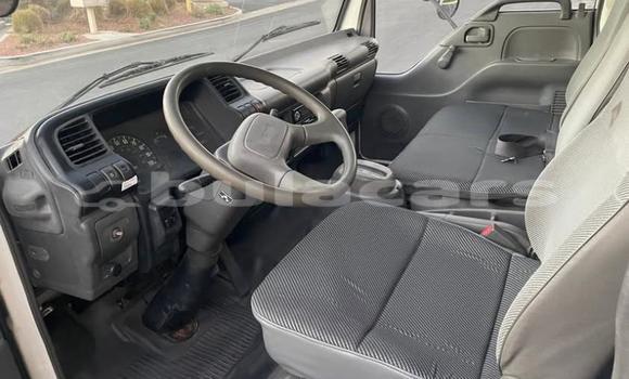 Buy Used Isuzu FTR 850 White Truck in Suva in Central Buy Used Isuzu FTR 850 White Truck in Suva in Central