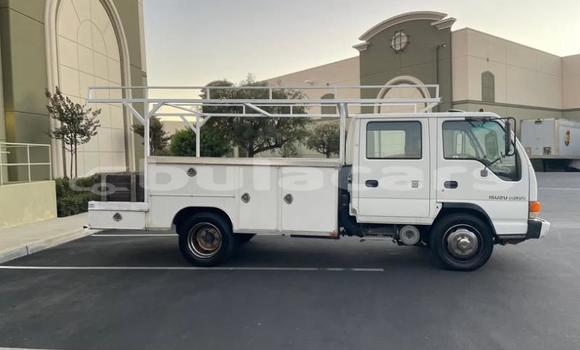 Buy Used Isuzu FTR 850 White Truck in Suva in Central Buy Used Isuzu FTR 850 White Truck in Suva in Central