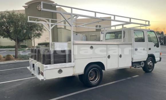 Buy Used Isuzu FTR 850 White Truck in Suva in Central Buy Used Isuzu FTR 850 White Truck in Suva in Central