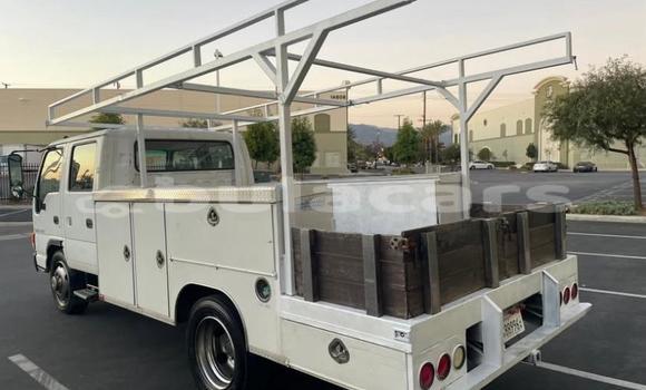 Buy Used Isuzu FTR 850 White Truck in Suva in Central Buy Used Isuzu FTR 850 White Truck in Suva in Central