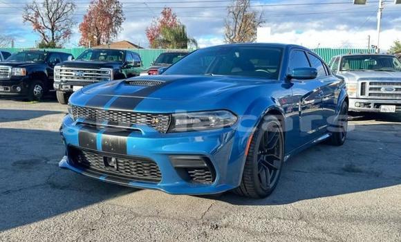 Buy Used Dodge Charger Blue Car in Suva in Central