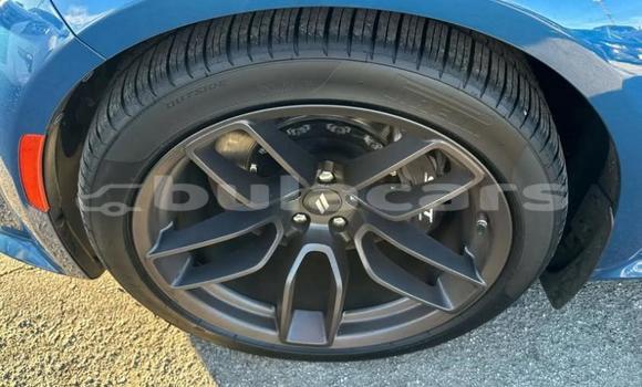 Buy Used Dodge Charger Blue Car in Suva in Central Buy Used Dodge Charger Blue Car in Suva in Central
