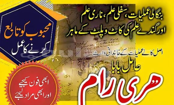 Buy Used Acura Integra Brown Car in Labasa in Northern