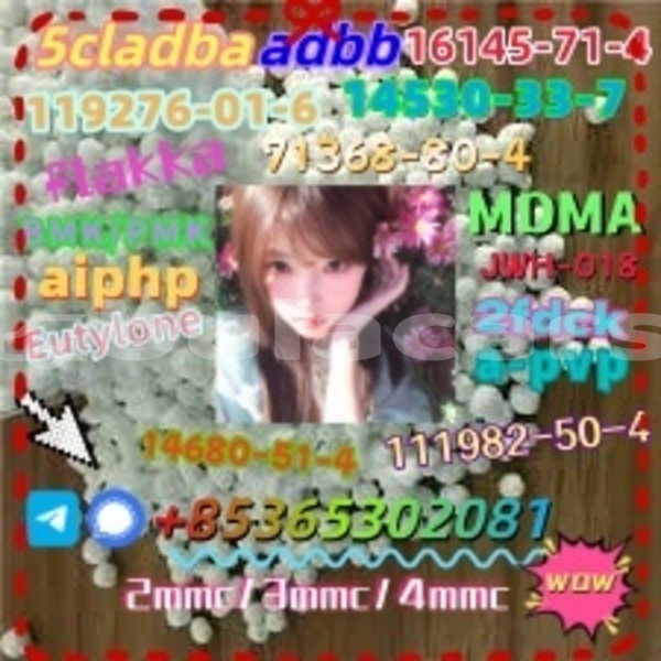 Big with watermark 1 9 