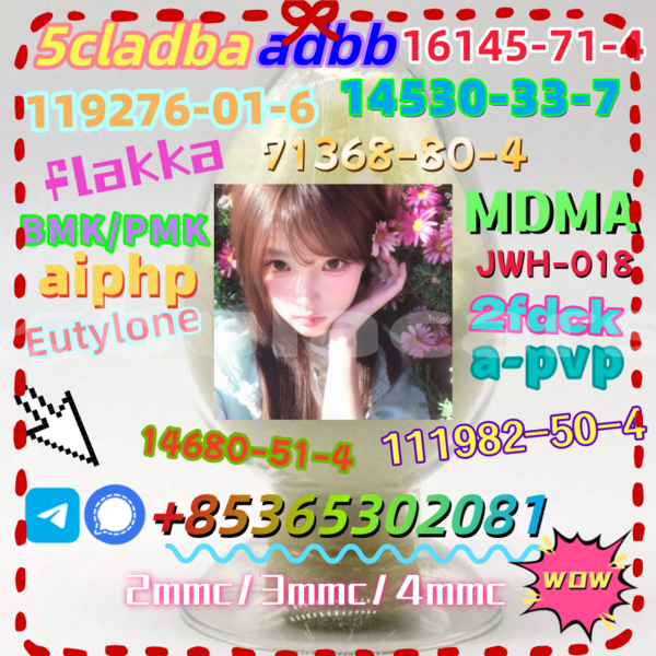 Big with watermark 5