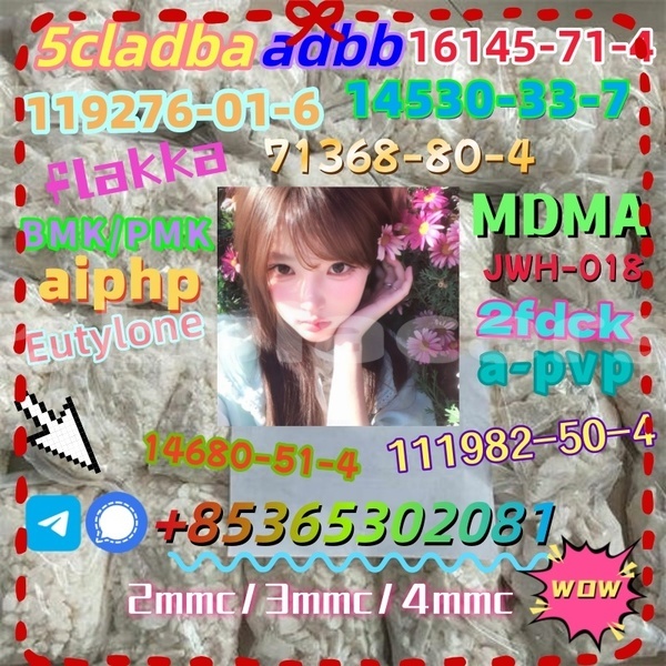 Big with watermark photo 6192803247366981098 x