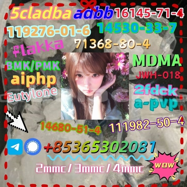 Big with watermark photo 6192803247366981099 x