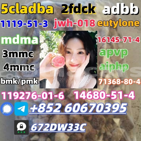 Big with watermark bk ebdp for sale 4