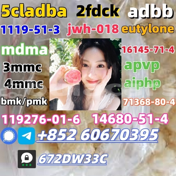 Big with watermark images 1 