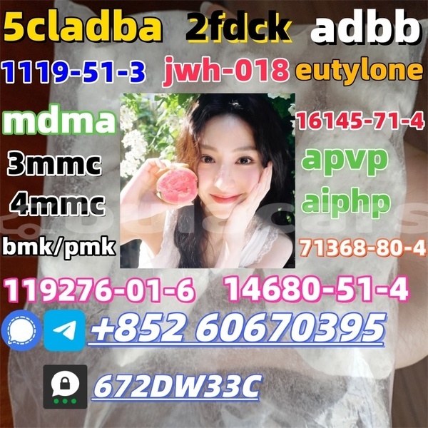 Big with watermark 1 23022521344ri