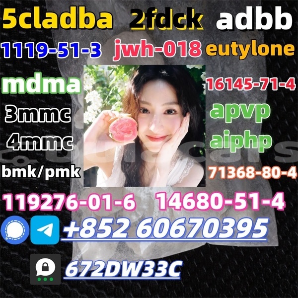 Big with watermark 1 230225213415v4