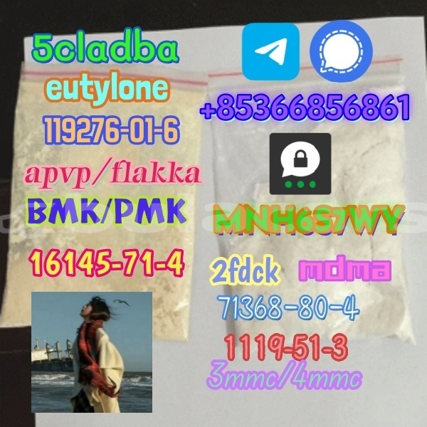 Big with watermark 1 169