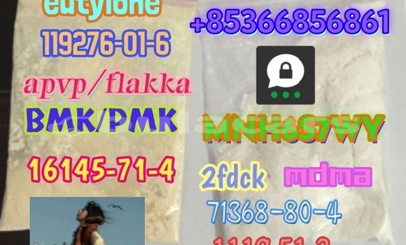 Medium with watermark 1 169 