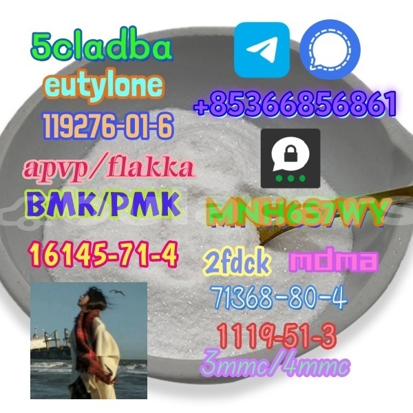 Big with watermark 1 173 