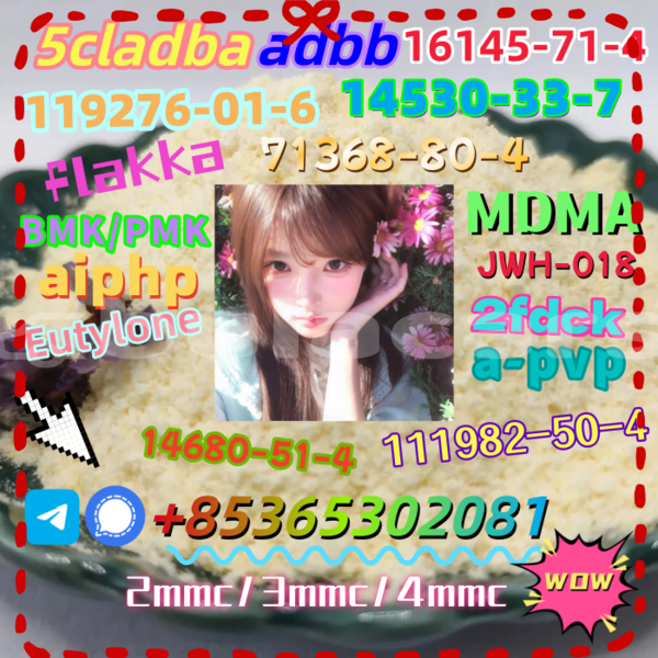 Big with watermark 1 %e5%89%af%e6%9c%ac