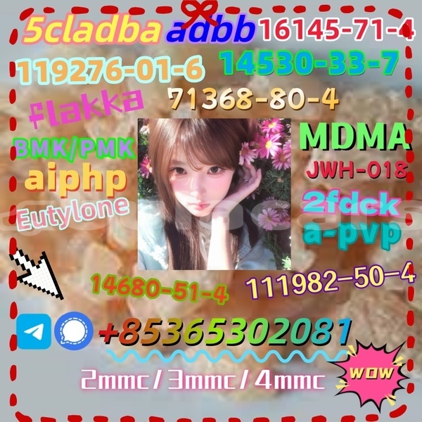 Big with watermark images