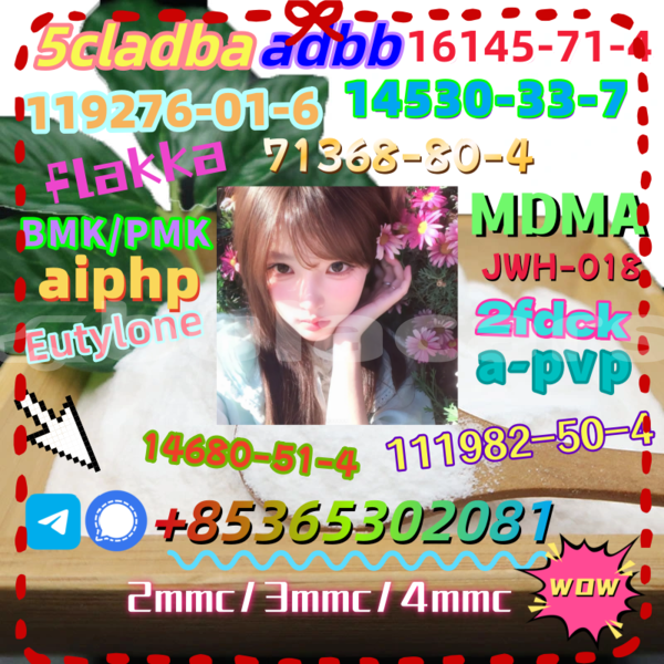 Big with watermark 19 2