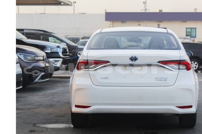 Big with watermark toyota corolla central suva 11100