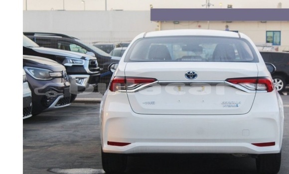 Buy Used Toyota Corolla White Car in Suva in Central Buy Used Toyota Corolla White Car in Suva in Central