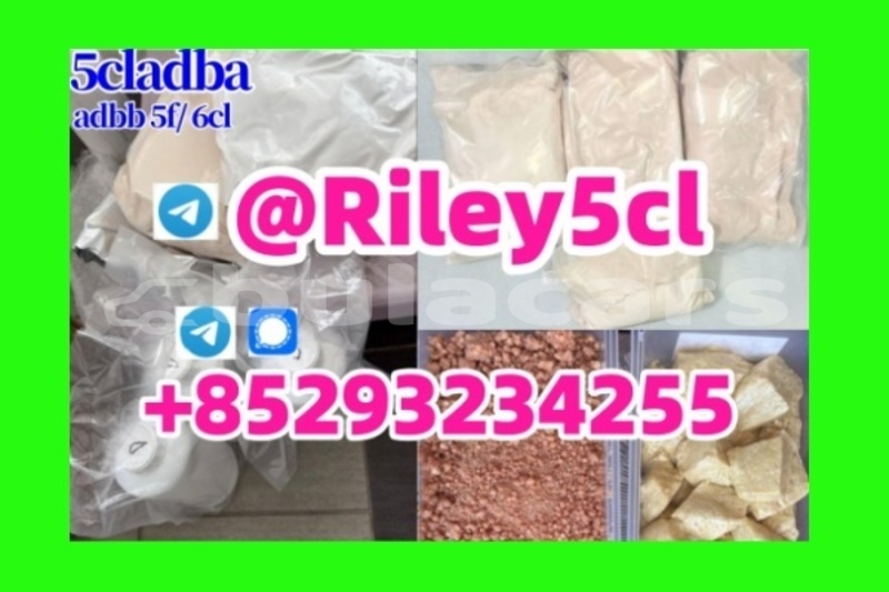 Big with watermark 5