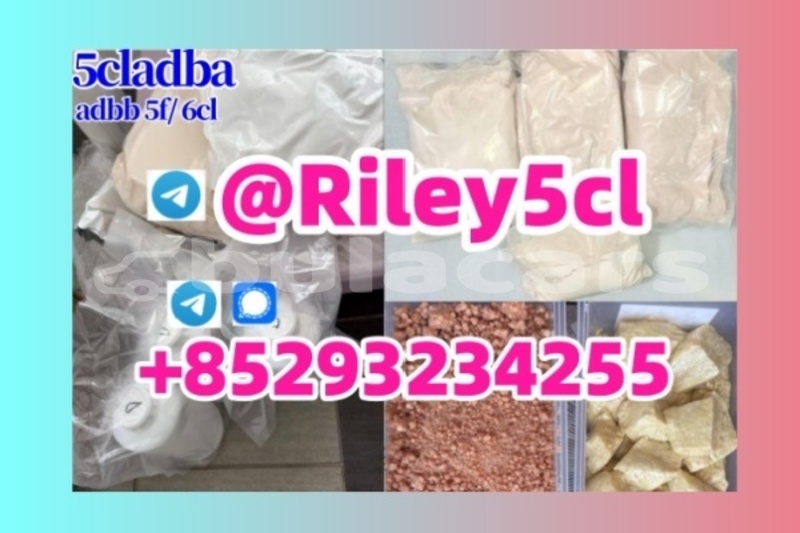 Big with watermark 6