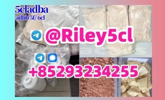 Medium with watermark 6