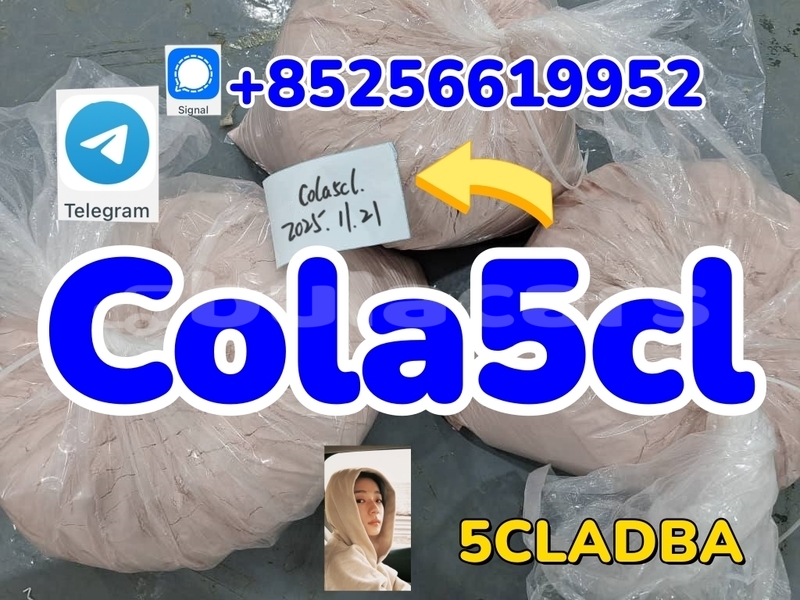 Big with watermark 2589kon