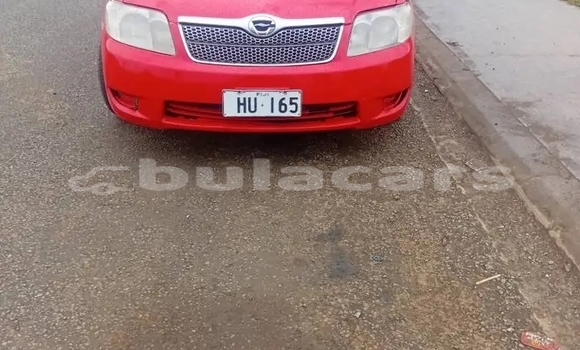 Buy Used Toyota Fielder Red Car in Korovou in Central Buy Used Toyota Fielder Red Car in Korovou in Central