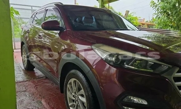 Buy Used Hyundai Tucson Other Car in Korokade in Northern Buy Used Hyundai Tucson Other Car in Korokade in Northern
