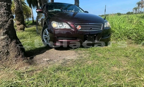 Buy Used Toyota MarkX Red Car in Nadi in Western Buy Used Toyota MarkX Red Car in Nadi in Western