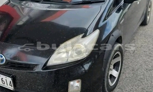 Buy Used Toyota Prius Black Car in Labasa in Northern Buy Used Toyota Prius Black Car in Labasa in Northern