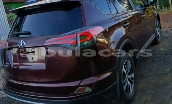 Buy Used Toyota RAV4 Red Car in Labasa in Northern Buy Used Toyota RAV4 Red Car in Labasa in Northern