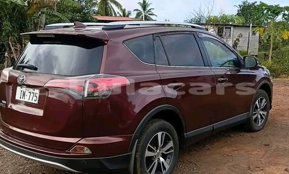 Buy Used Toyota RAV4 Red Car in Labasa in Northern Buy Used Toyota RAV4 Red Car in Labasa in Northern