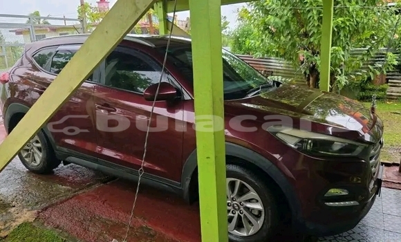 Buy Used Hyundai Tucson Red Car in Labasa in Northern